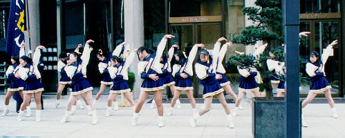 �e��w�̉������i