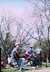 ���J�̍��̉��@�o���h�̕����C�����悳�����I