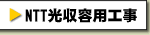 NTTepH